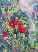 Lind's Poppies
