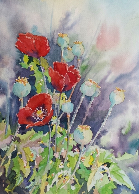 Summer Poppies